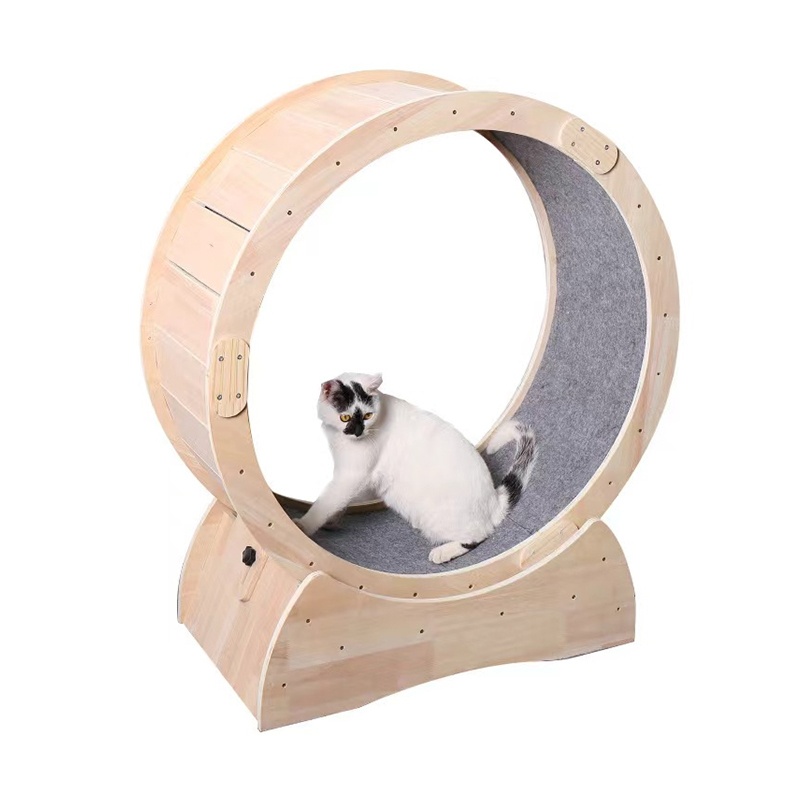 Cat Exercise Wheel 001